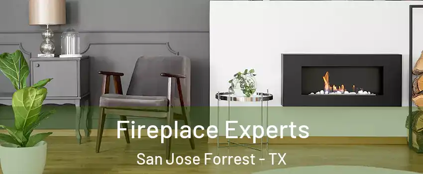 Fireplace Experts San Jose Forrest - TX