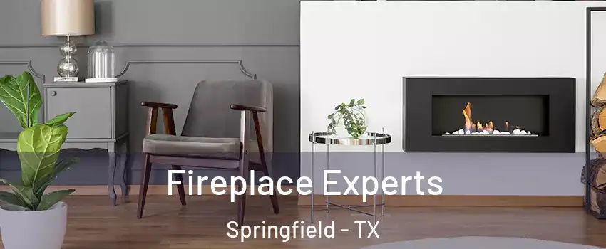 Fireplace Experts Springfield - TX