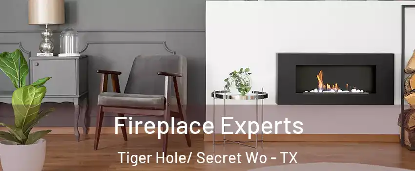 Fireplace Experts Tiger Hole/ Secret Wo - TX