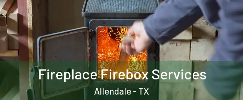 Fireplace Firebox Services Allendale - TX