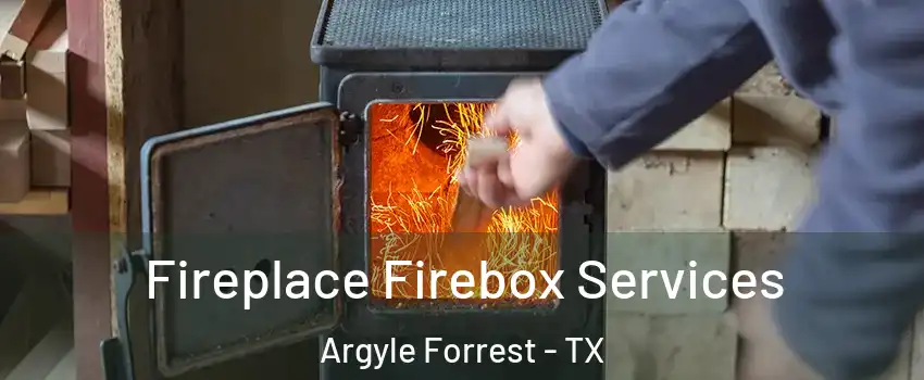 Fireplace Firebox Services Argyle Forrest - TX