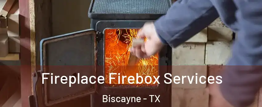 Fireplace Firebox Services Biscayne - TX