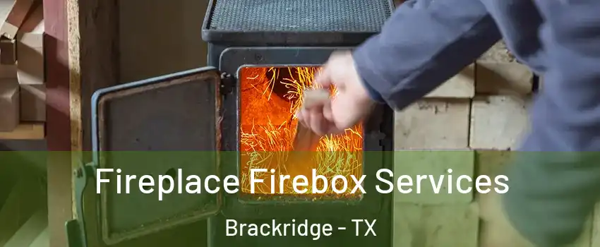 Fireplace Firebox Services Brackridge - TX