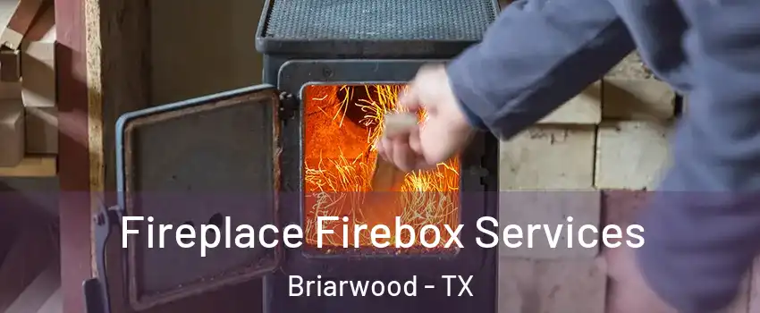 Fireplace Firebox Services Briarwood - TX