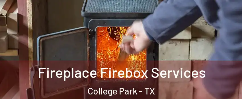 Fireplace Firebox Services College Park - TX