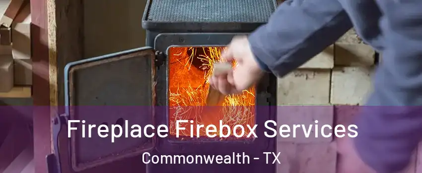 Fireplace Firebox Services Commonwealth - TX