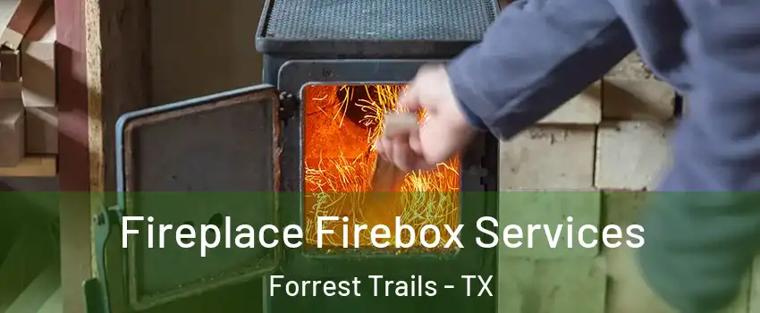 Fireplace Firebox Services Forrest Trails - TX