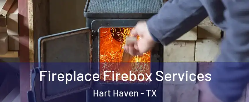 Fireplace Firebox Services Hart Haven - TX