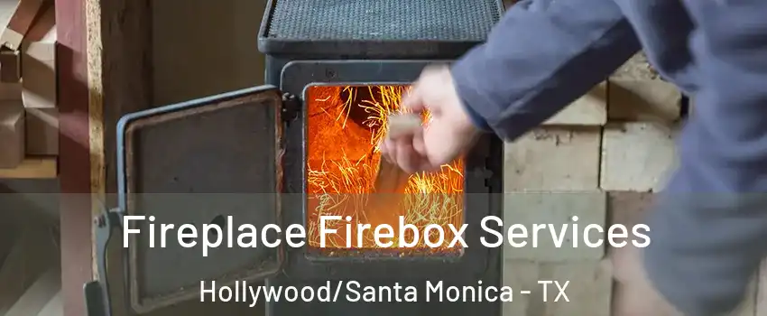 Fireplace Firebox Services Hollywood/Santa Monica - TX