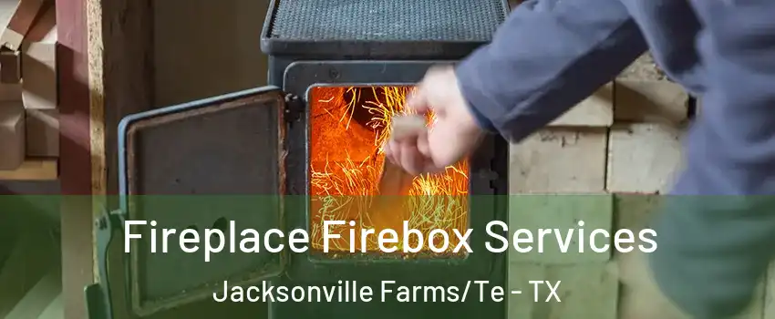 Fireplace Firebox Services Jacksonville Farms/Te - TX