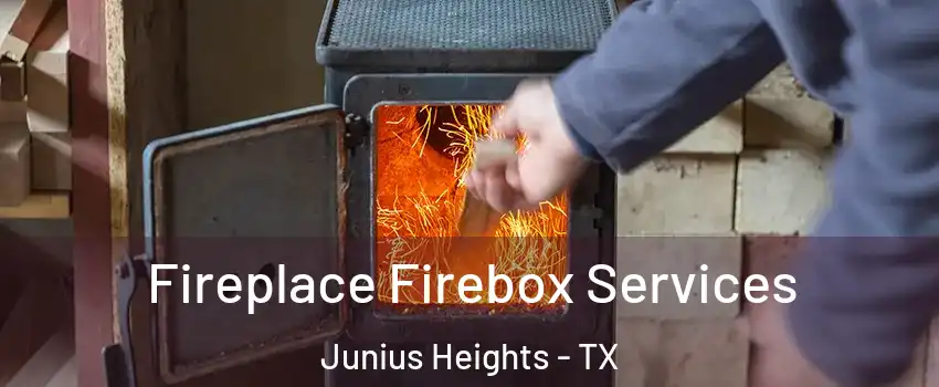 Fireplace Firebox Services Junius Heights - TX