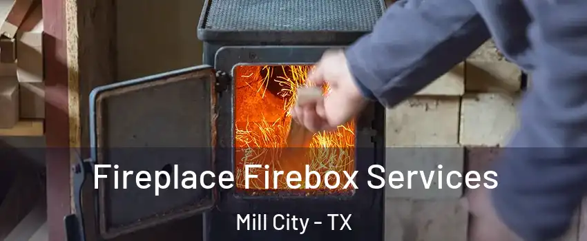 Fireplace Firebox Services Mill City - TX