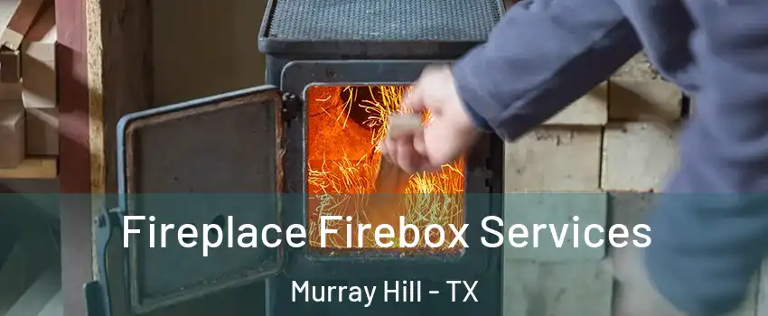 Fireplace Firebox Services Murray Hill - TX