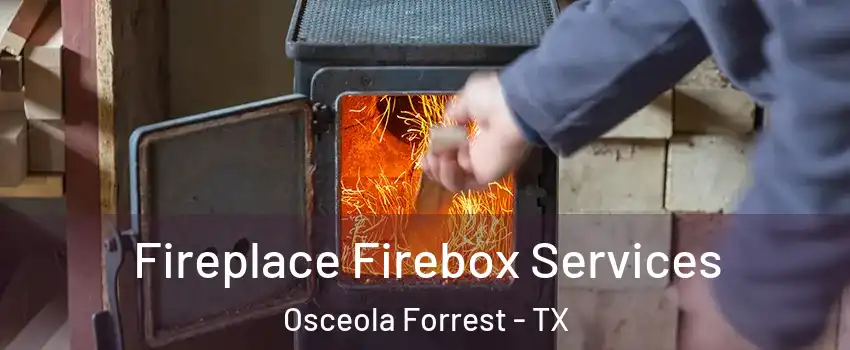 Fireplace Firebox Services Osceola Forrest - TX