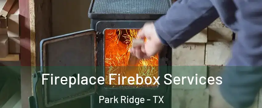 Fireplace Firebox Services Park Ridge - TX