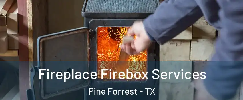 Fireplace Firebox Services Pine Forrest - TX