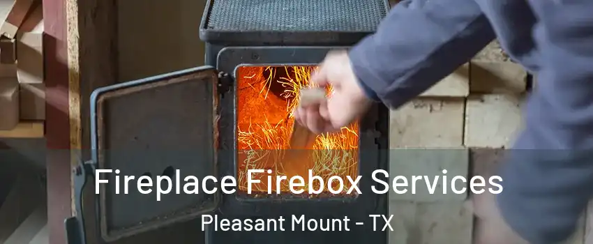 Fireplace Firebox Services Pleasant Mount - TX