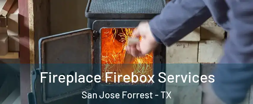Fireplace Firebox Services San Jose Forrest - TX