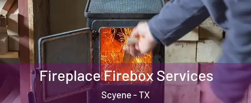 Fireplace Firebox Services Scyene - TX