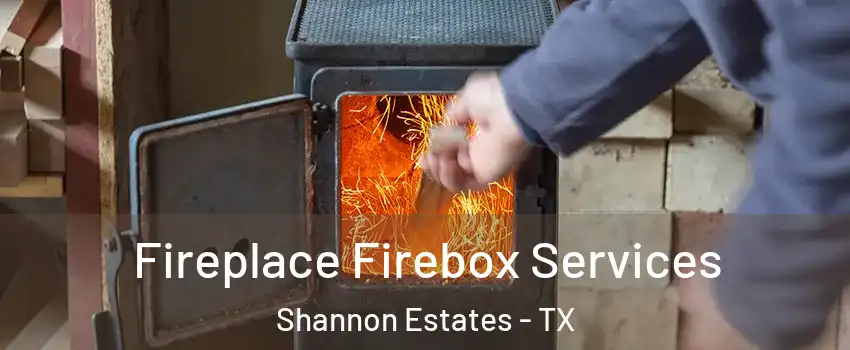 Fireplace Firebox Services Shannon Estates - TX