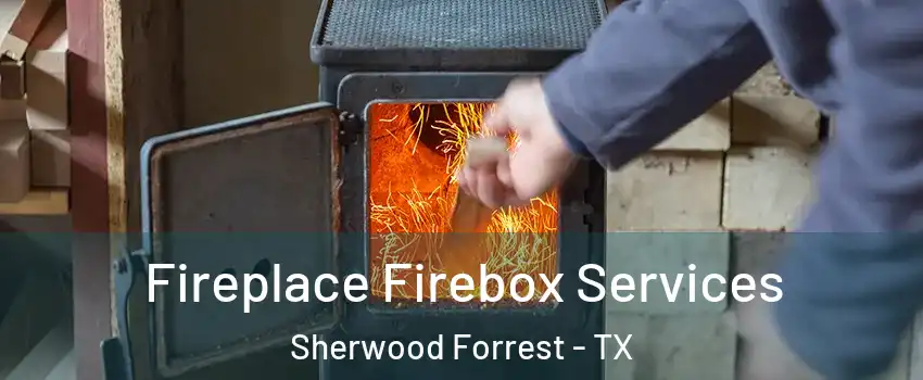 Fireplace Firebox Services Sherwood Forrest - TX