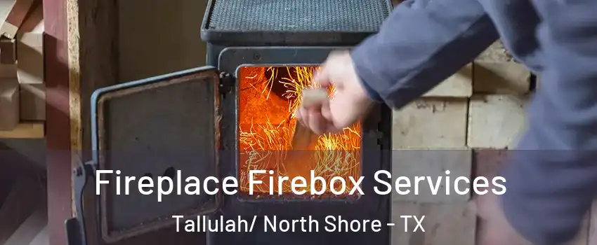 Fireplace Firebox Services Tallulah/ North Shore - TX