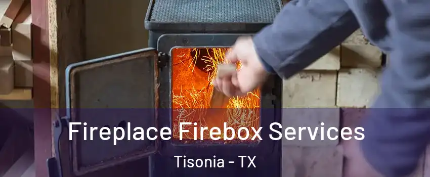 Fireplace Firebox Services Tisonia - TX