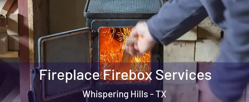 Fireplace Firebox Services Whispering Hills - TX