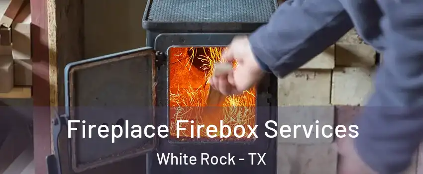 Fireplace Firebox Services White Rock - TX