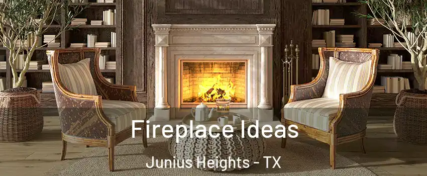 Fireplace Ideas Junius Heights - TX