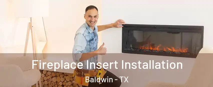 Fireplace Insert Installation Baldwin - TX