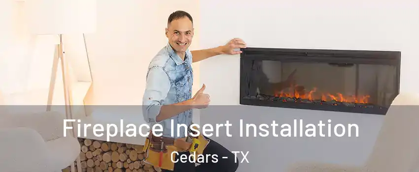 Fireplace Insert Installation Cedars - TX