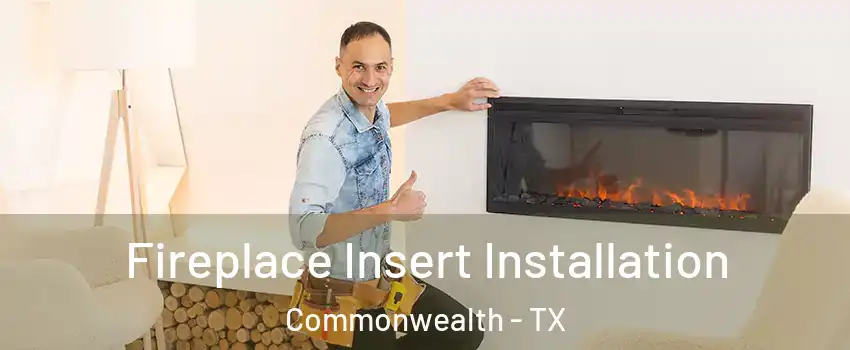 Fireplace Insert Installation Commonwealth - TX