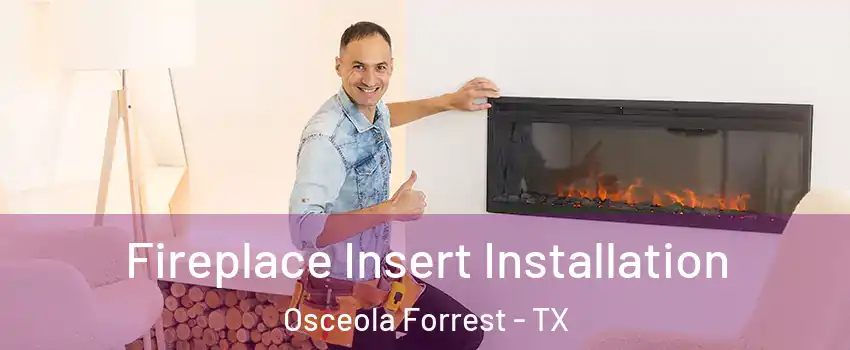 Fireplace Insert Installation Osceola Forrest - TX