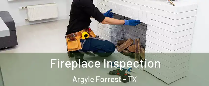 Fireplace Inspection Argyle Forrest - TX