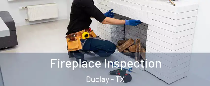 Fireplace Inspection Duclay - TX