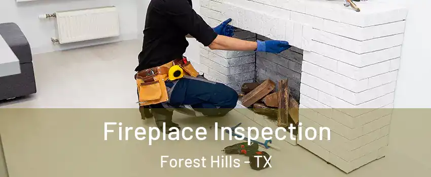 Fireplace Inspection Forest Hills - TX