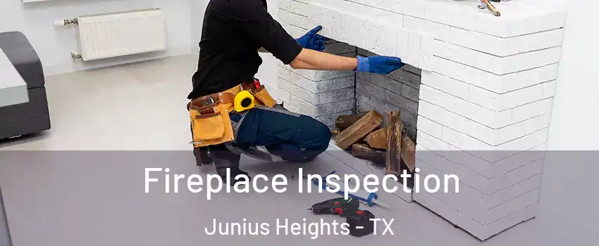 Fireplace Inspection Junius Heights - TX