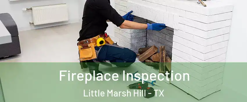 Fireplace Inspection Little Marsh Hill - TX