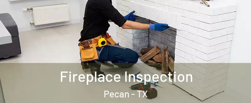 Fireplace Inspection Pecan - TX