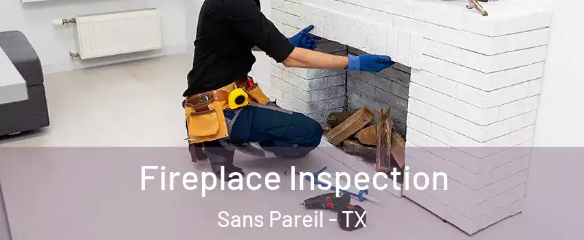 Fireplace Inspection Sans Pareil - TX