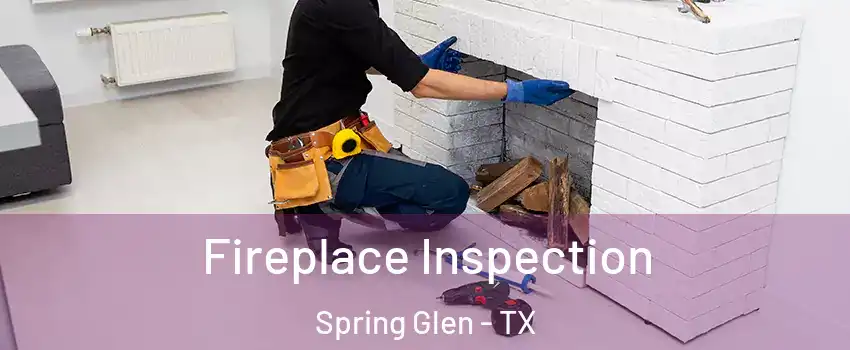 Fireplace Inspection Spring Glen - TX