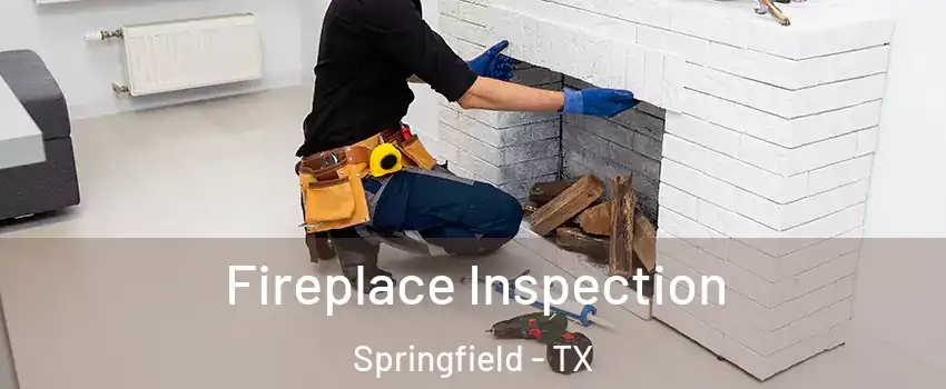 Fireplace Inspection Springfield - TX