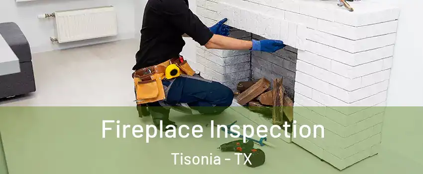 Fireplace Inspection Tisonia - TX