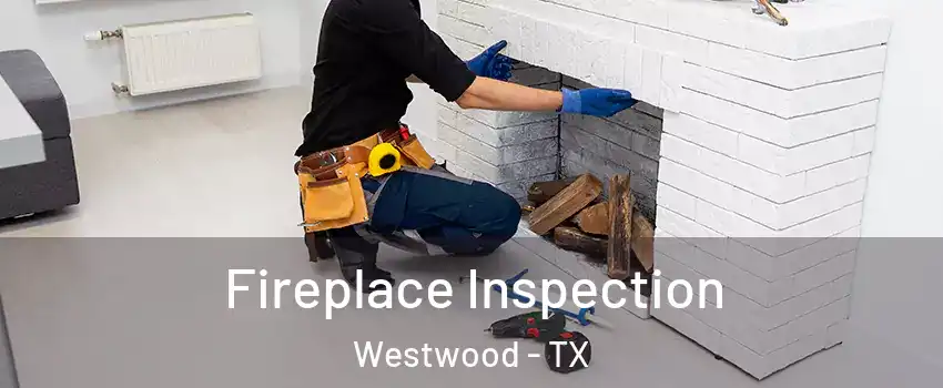 Fireplace Inspection Westwood - TX
