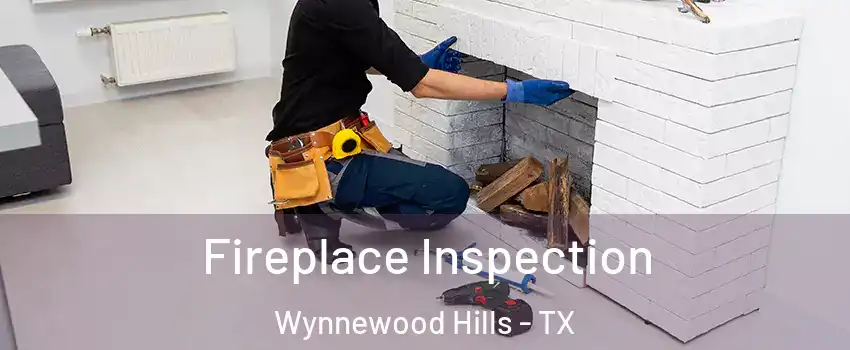 Fireplace Inspection Wynnewood Hills - TX
