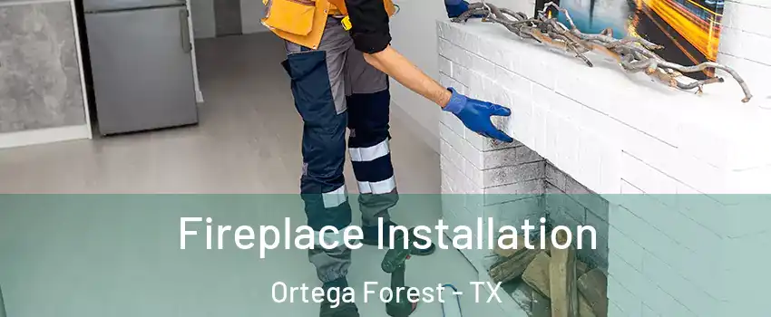 Fireplace Installation Ortega Forest - TX