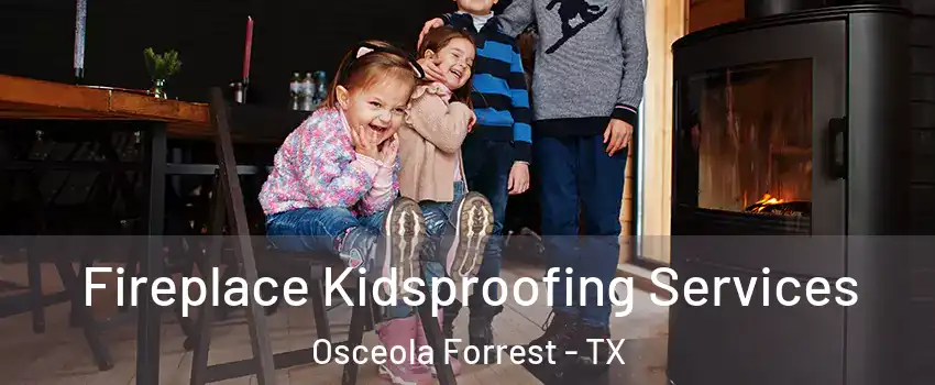 Fireplace Kidsproofing Services Osceola Forrest - TX