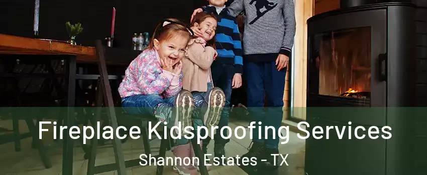 Fireplace Kidsproofing Services Shannon Estates - TX