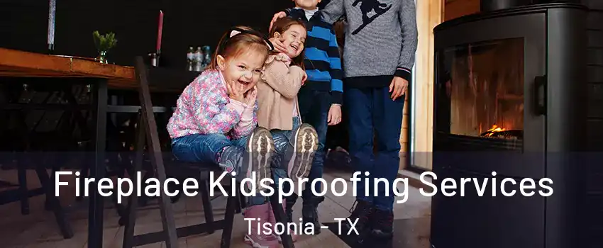 Fireplace Kidsproofing Services Tisonia - TX